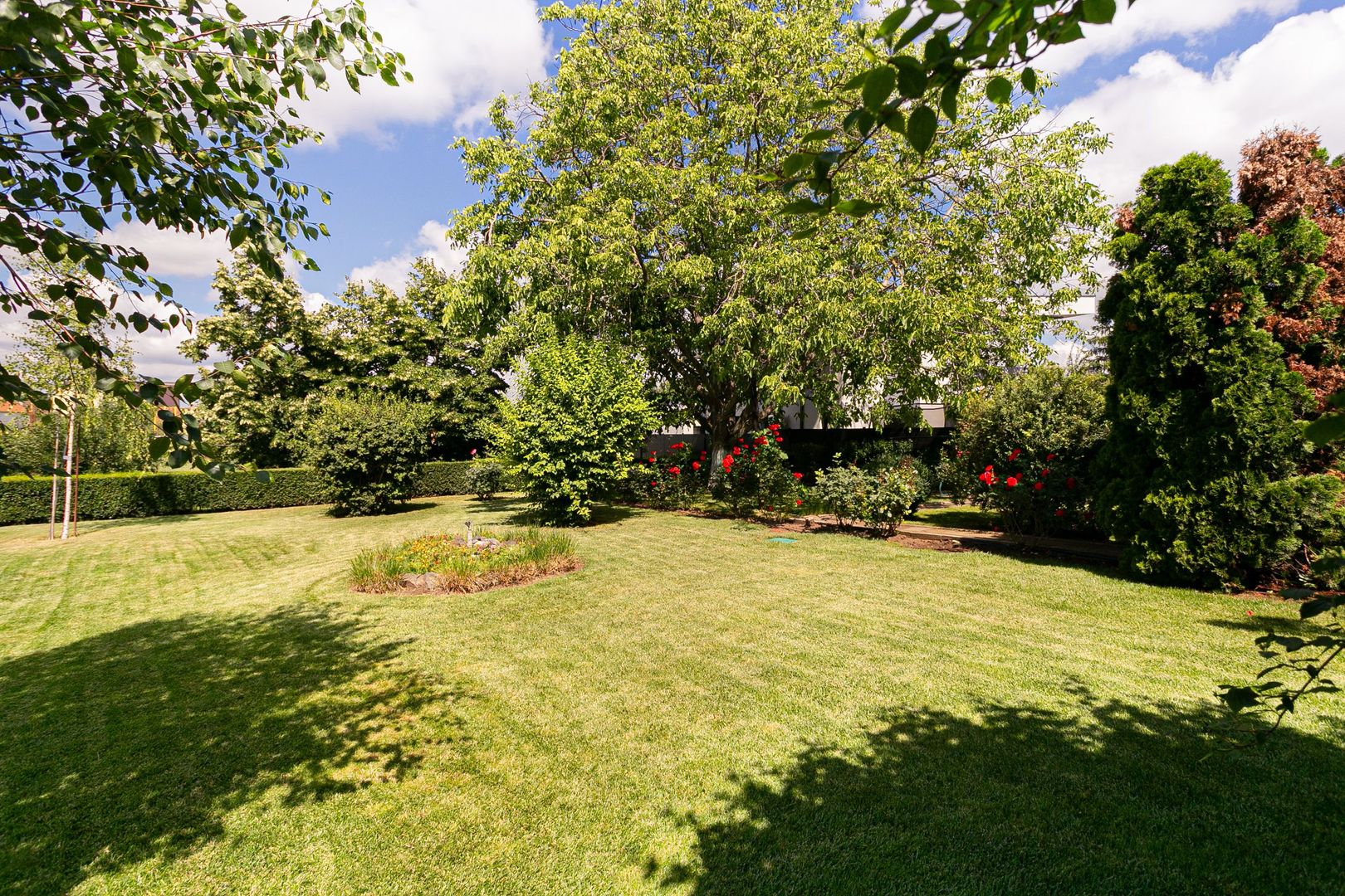 Casă Aradul Nou cu 5 camere și teren 2189 mp - Poză 10