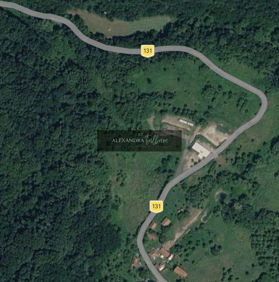 Casă la gri + teren 16.418 mp | Potențial dezvoltare turistică | PUZ - Poză 45