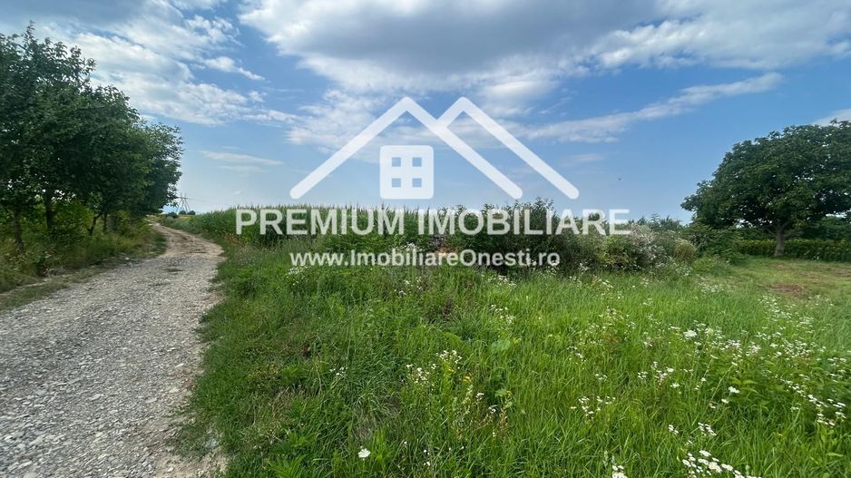 De vânzare teren în comuna Buciumi - Poză 2