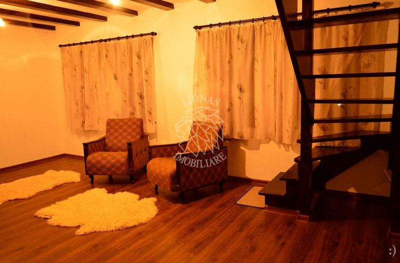 Cabana 5 camere-foisor / gratar / loc de joaca-Baile Figa - Poză 2