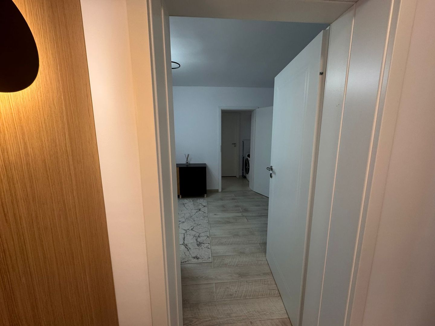 Apartament 2 camere Costin Georgian 4/4 - Poză 9