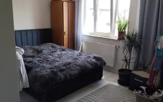casa superba gata de  mutare Miorita - Poză 22
