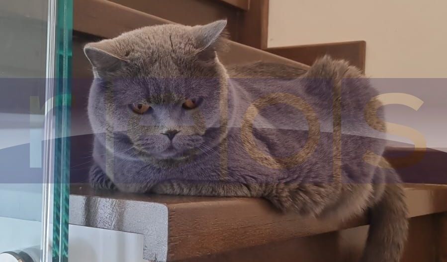 VANZARE -DUPLEX 3 CAMERE -BUCURESTI  Mall Select Residence - Poză 24