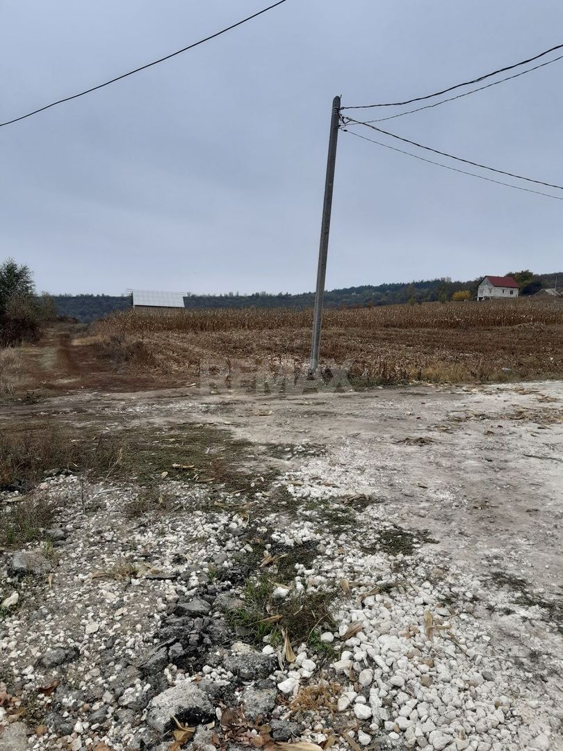 Teren pentru construcții – 7 ari, Zaicana - Poză 3