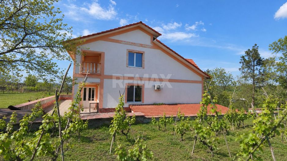 Casă spațioasă cu 2 niveluri | 273 m² Suprafață Totală | 12 ari | 3 dormitoare + living | Anenii Noi – Ruseni - Poză 3