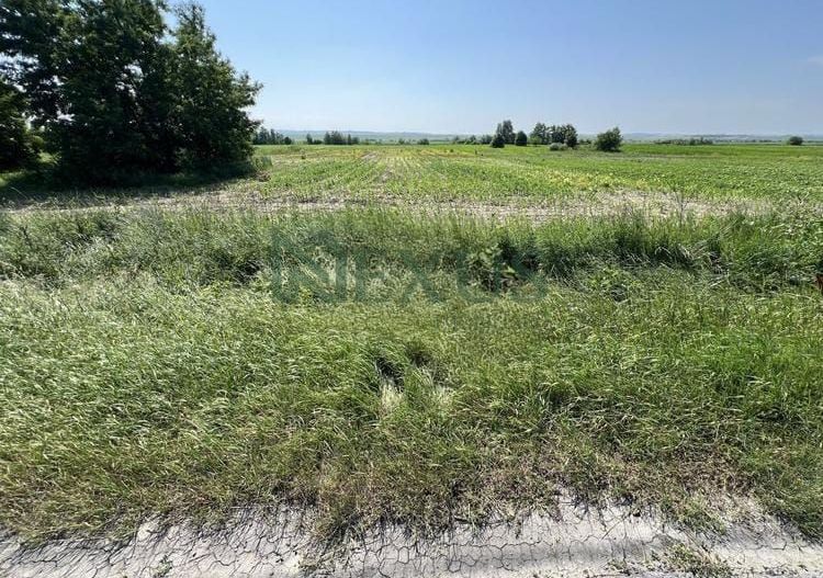 Teren de vânzare – 9.969 mp, Calea Romanului - Poză 5