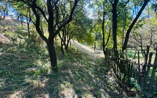 TEREN INTRAVILAN 3234 MP LEREȘTI VOINEȘTI ARGEȘ - Poză 29