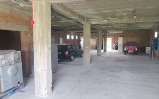 Inchiriere hala depozitare si teren, Labusesti - Poză 4