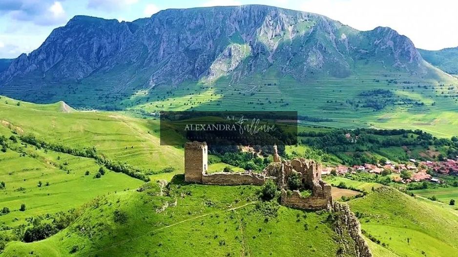 Teren de vanzare – Rimetea, Alba | 9000 mp - Poză 1