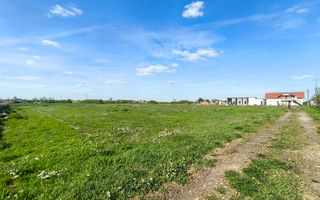 Casa cu 4 camere cu teren de 14,340 mp + platforma de beton cu hala - Poză 4