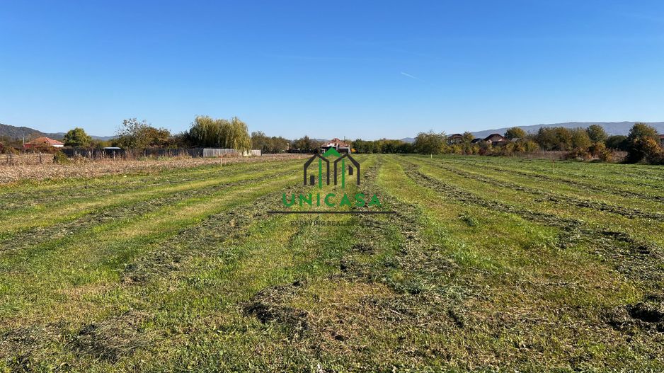 Teren intravilan/Str Balciului/Copacelu - Poză 4