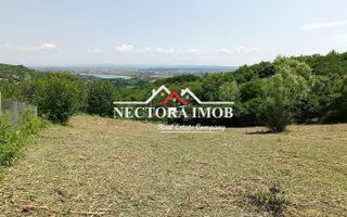 Teren INTRAVILAN Zona Podgoria Oradea, 950 mp, dublu front, PUZ etc - Poză 1