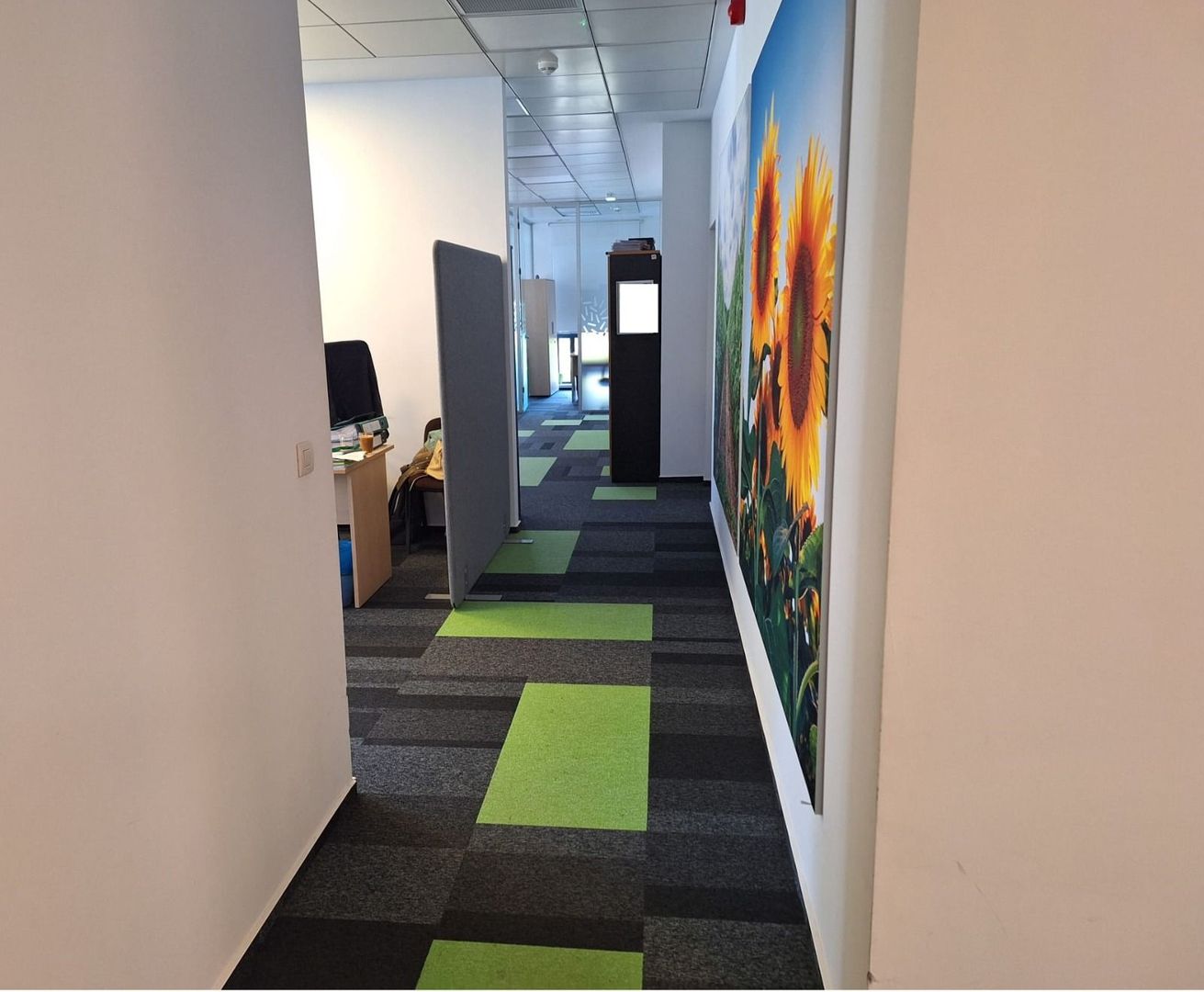 Spatii de birouri clasa A zona de nord, Floreasca. - Poză 3