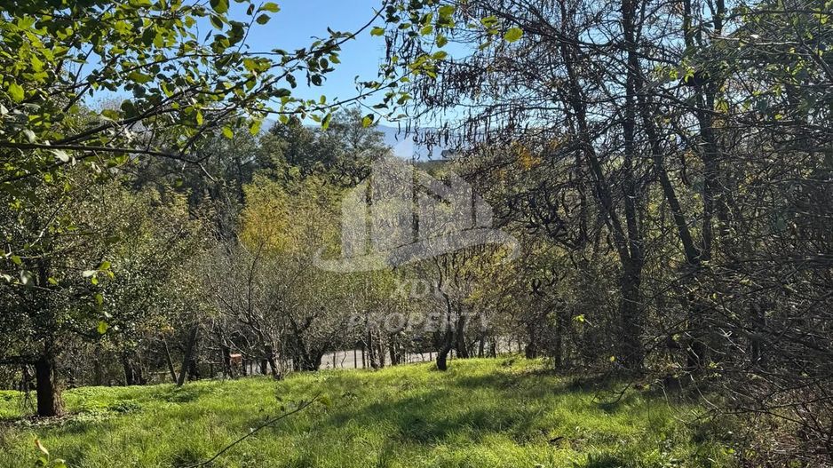 Teren in zona turistica Porumbacu de Sus - Poză 5