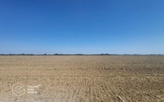 Teren Mosnita Noua, 11600 mp - Poză 3