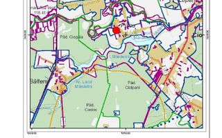 Teren intravilan 2078 mp langa padure - Piscu Ciolpani Snagov - Poză 7
