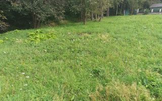 TEREN INTRAVILAN 3698 MP, CAMPULUNG, ARGES - Poză 4