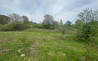 TEREN EXTRAVILAN 40000 MP, ALBESTI DE MUSCEL, CANDESTI - Poză 2