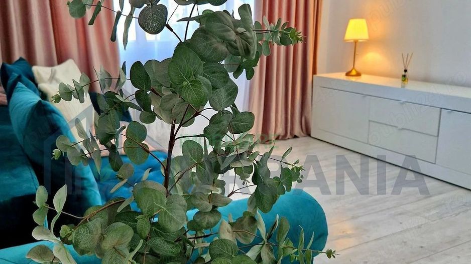 Apartament 2 camere, Podul Roș - Cantemir - Campus Palas, model cu 3 debarale - Poză 4