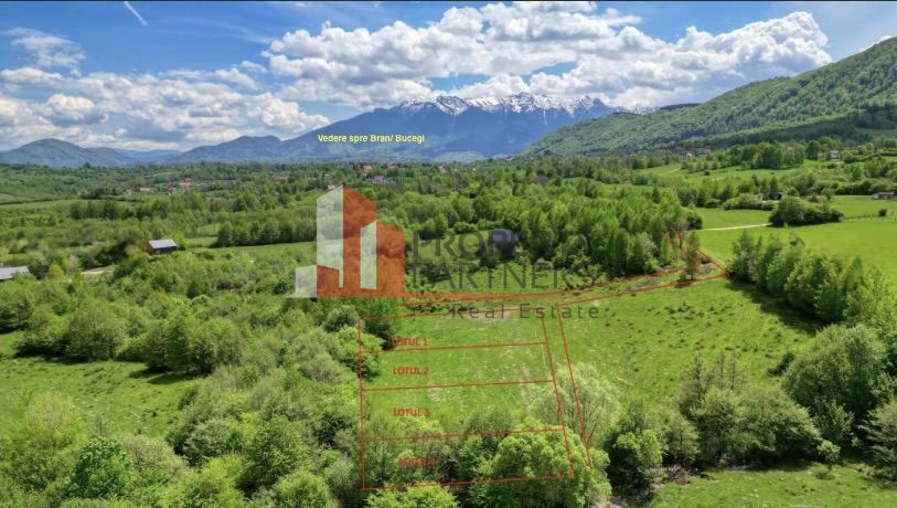 Teren intravilan 500 mp sau 1000 mp în Zarnesti –Tohanita incepand cu 17500 euro - Poză 3