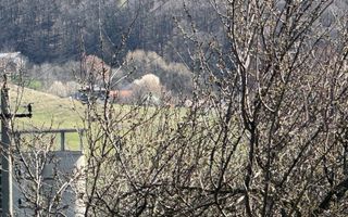 TEREN INTRAVILAN 2800MP CAMPULUNG ZONA PESCAREASA - Poză 8