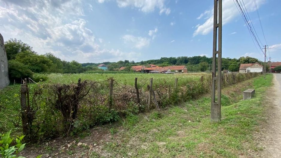 Teren Zgribesti numai 5 euro/mp - Poză 4