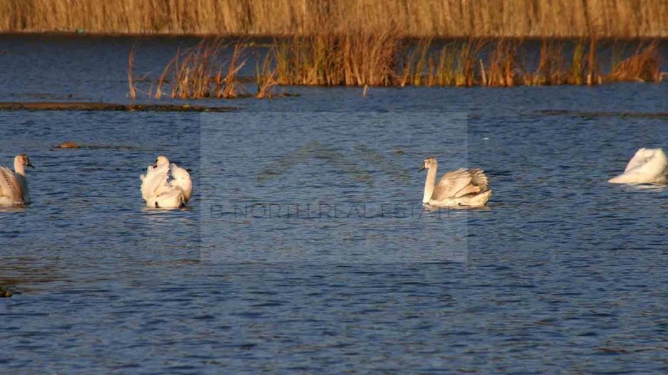Reședință exclusivistă cu deschidere la Lacul Scroviștea - Poză 10