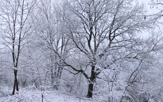 Teren cu izvor de apă minerală  Dangești, Punctul Valea Mare - Poză 34
