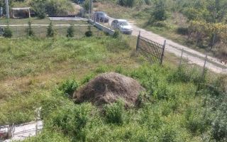 Teren zona bucium - Poză 3