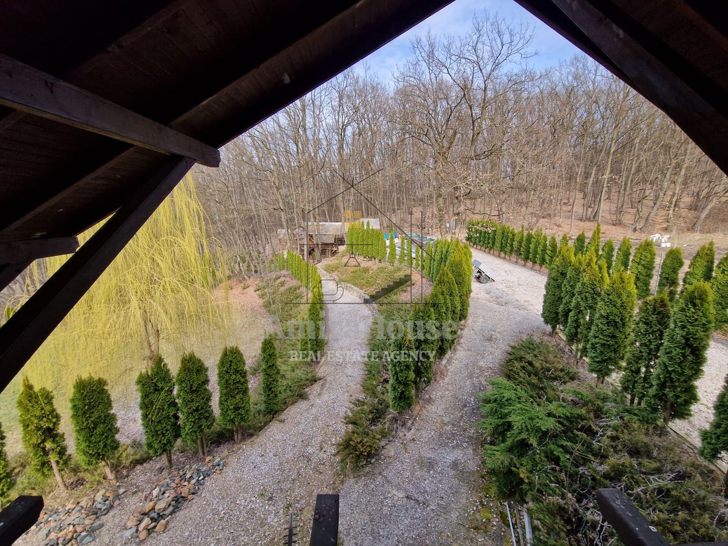 Casa din lemn D+P+M de 400 mp utili si teren 3.000 mp zona Faget - Poză 4