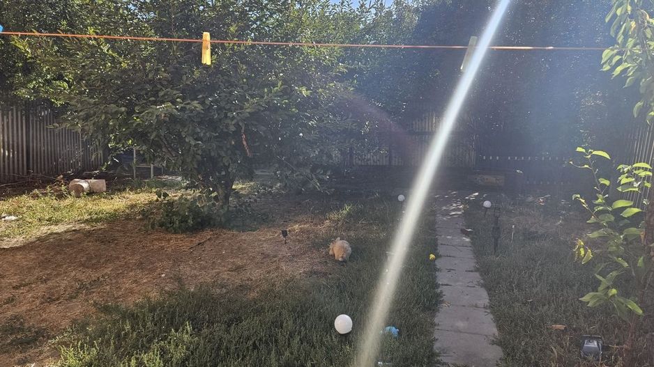 Casă / Vilă de vânzare în Industriilor, Bucuresti - Poză 16