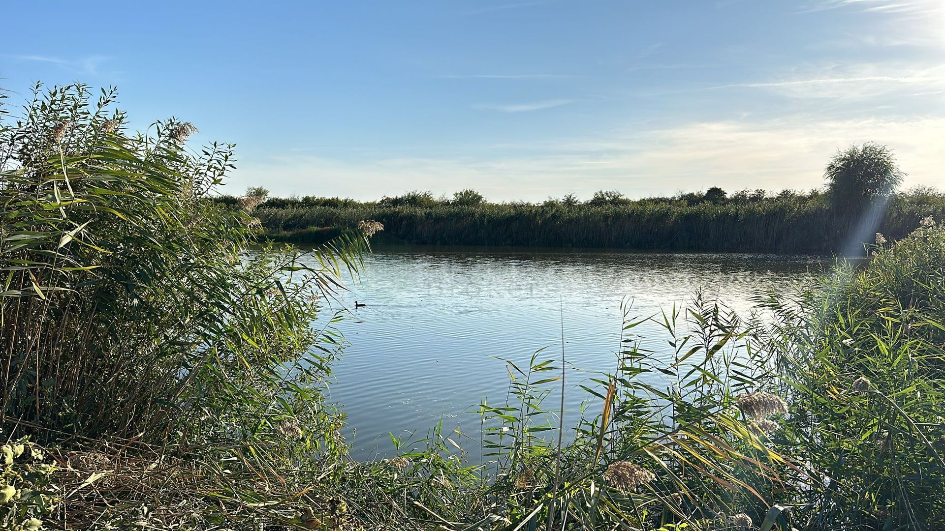 Lacul Snagov | Izvorani | Deschidere 22m | Utilitati - Poză 1