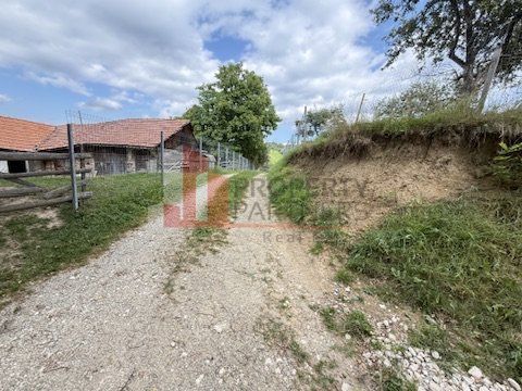 Teren intravilan 3.000 mp cu casă tradițională – Bran, sat Poarta - Poză 8