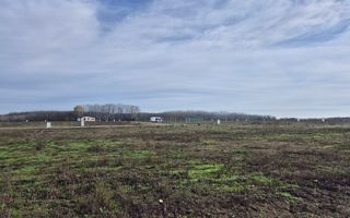 Loturi de teren 638 mp - curent tras la teren - Crevedia - Poză 3