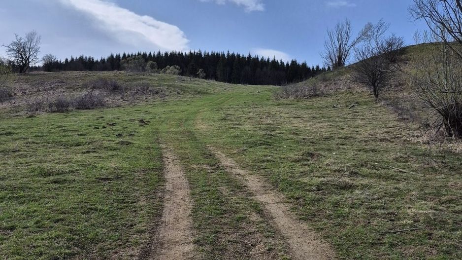 Teren intravilan la baza pădurii Valea Doftanei sat Traisteni (poduri) - Poză 12