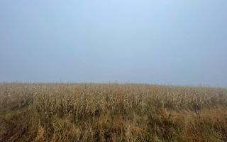 TEREN EXTRAVILAN | DOUA PARCELE| 70 ARI| IDEAL AGRICOL| CALAFINDESTI - Poză 5