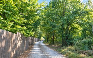 TEREN INTRAVILAN 744 MP | VALEA AVRIGULUI | IDEAL PENTRU CABANĂ - Poză 9