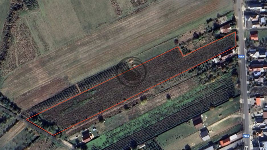 Teren intravilan de vanzare | 12.650 mp | Ghirdoveni, | Comision 0% - Poză 2