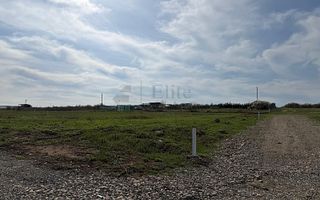 Teren intravilan 700 mp de vanzare in Paleu - Poză 2