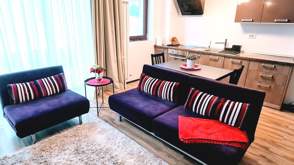 2 camere | Intrarea Catedrei | Parcul Herastrau | Aviatiei - Poză 4