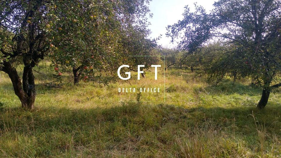 Teren 1500 mp - pretabil cabana/investitie - Zona Valea Rusului - Poză 1