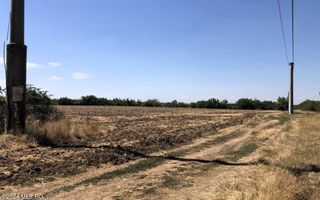 Moara Vlasiei - langa Padurea Biglaru, 11.884 mp, deschidere 40 ml - Poză 3