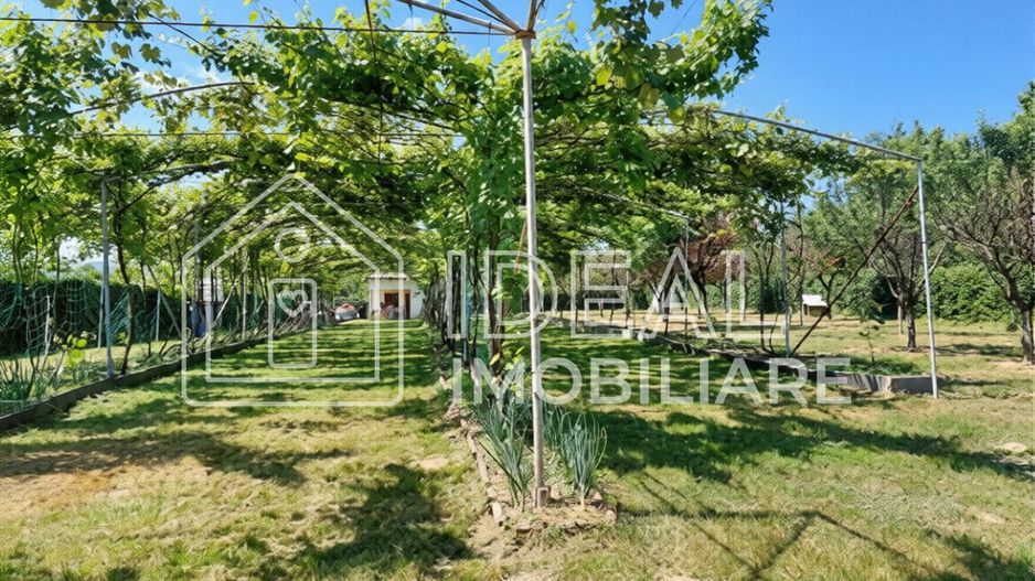 Teren intravilan 2.158 mp - Tropinii Noi, Sibiu | 2 parcele | Zonă Dumbrava - Poză 9