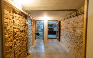 Casa Individuala | 407MPU | 1000MP Teren | Calea Dumbravii - Poză 20