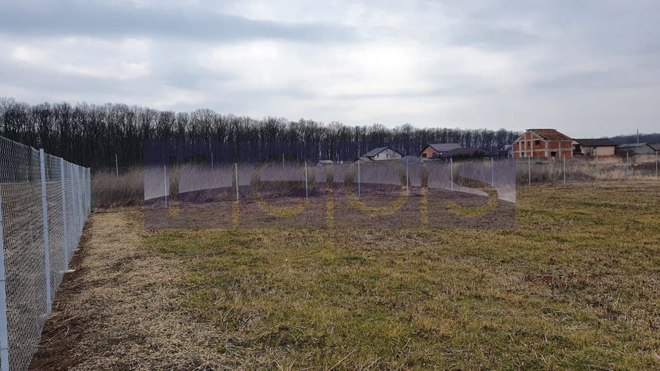 VANZARE TEREN 1500 MP| GHERMANESTI | PADUREA SNAGOV - Poză 3