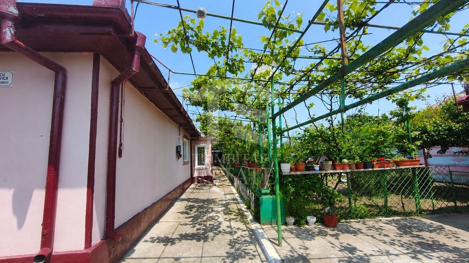 CASA  POIANA | PANOURI SOLARE | TEREN 800 MP - Poză 1