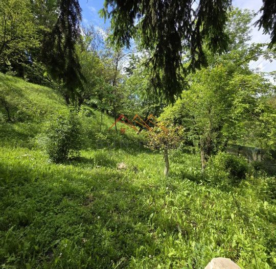 Casa rustica, teren 2000 mp, peisaj de vis, Provita de Jos, Prahova - Poză 14