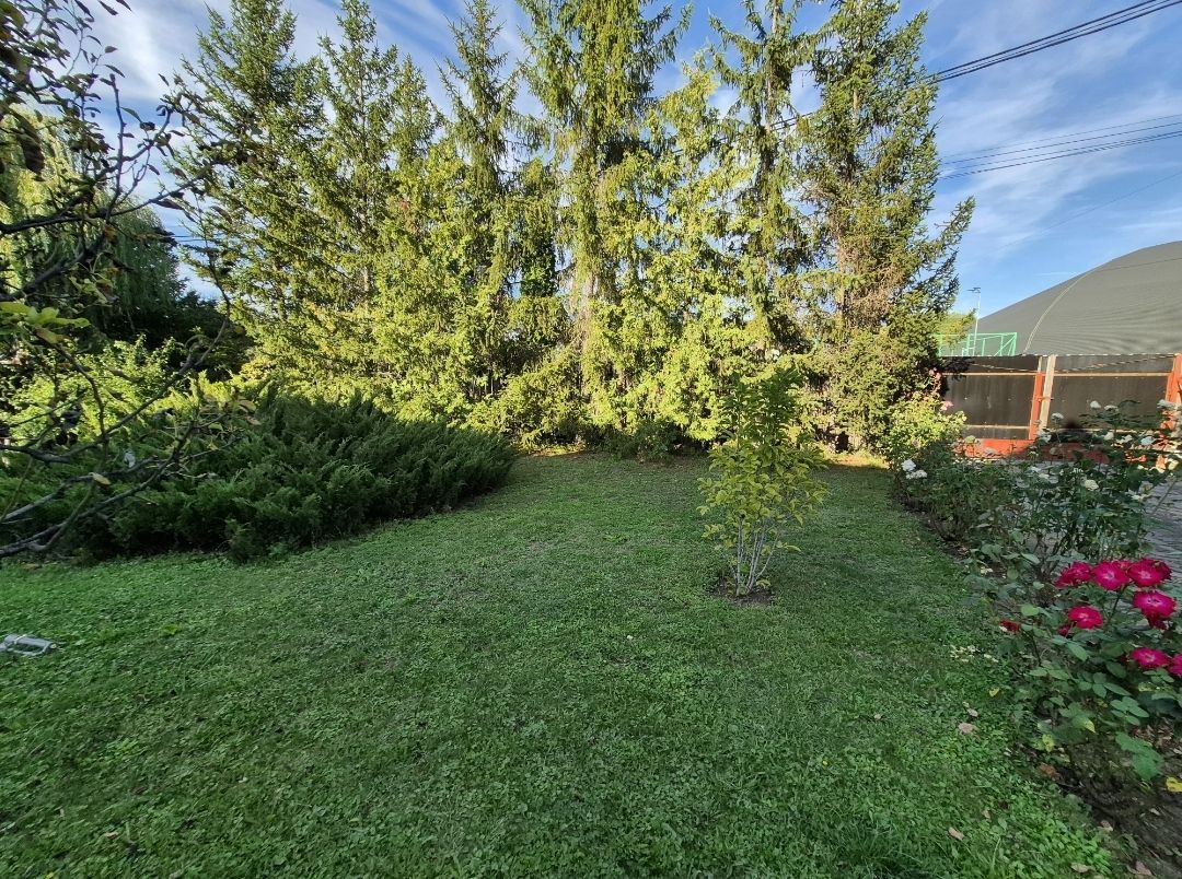 Cabana de lemn cu fundatie 86 mp+ livada pomi fructiferi+teren 847 mp - Poză 5