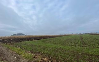 TEREN EXTRAVILAN 13 ARI | FRONT STRADAL 13 M | MARGINEA - Poză 8