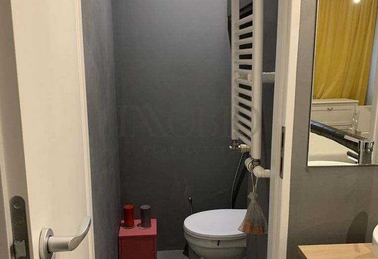 Apartament 2 Camere | Herastrau - Poză 6